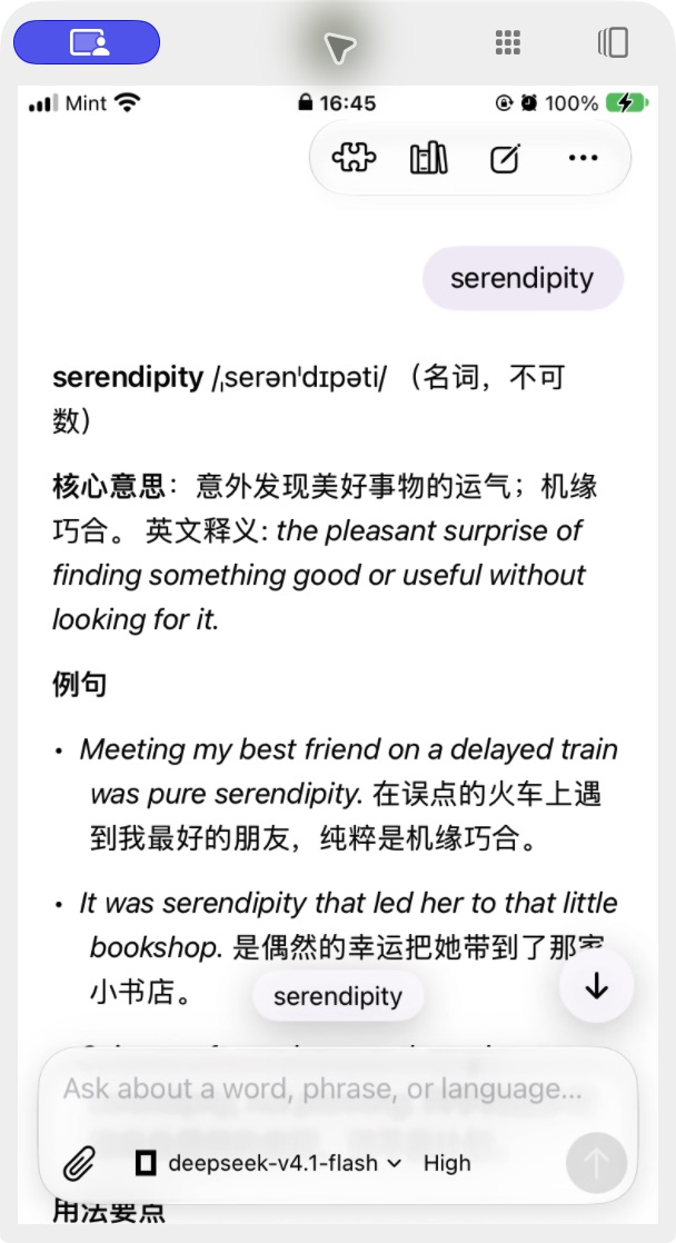 A real Linberry conversation explaining serendipity with bilingual definitions and examples.
